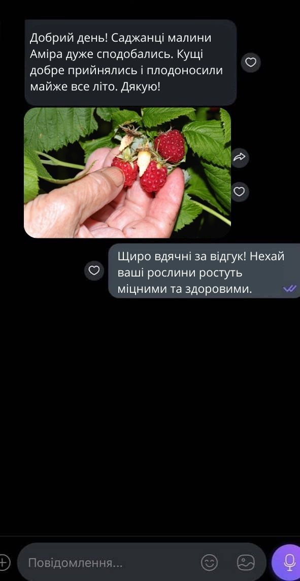 Відгук 1