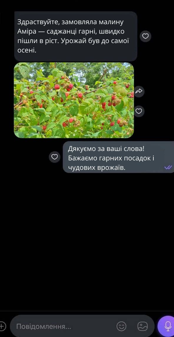 Відгук 2