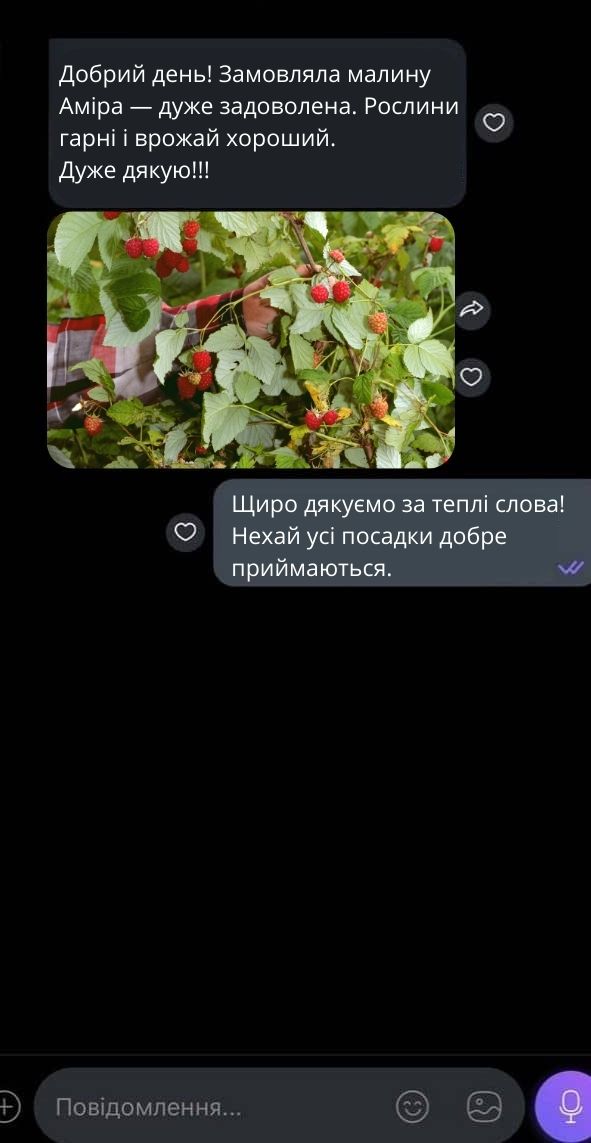Відгук 3